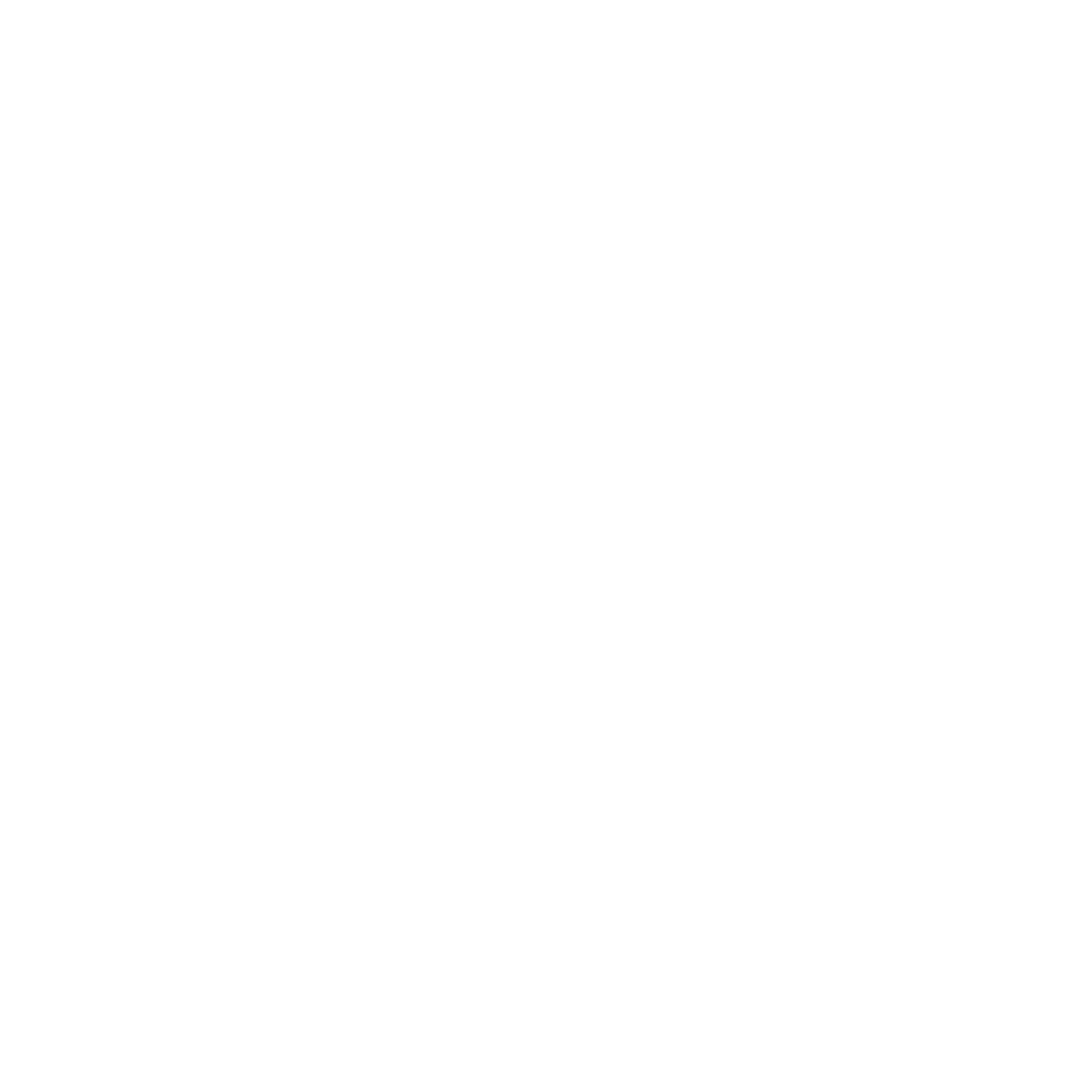 Lamborgini